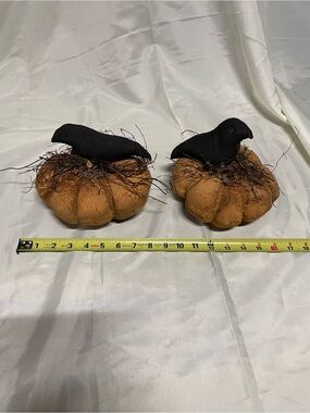Pair of Black Crow Pumpkin Décor
